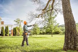 Best Seasonal Cleanup (Spring/Fall)  in Wrightsboro, NC